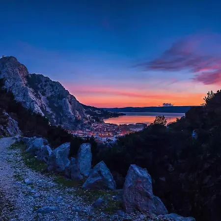Center Pia Omis
